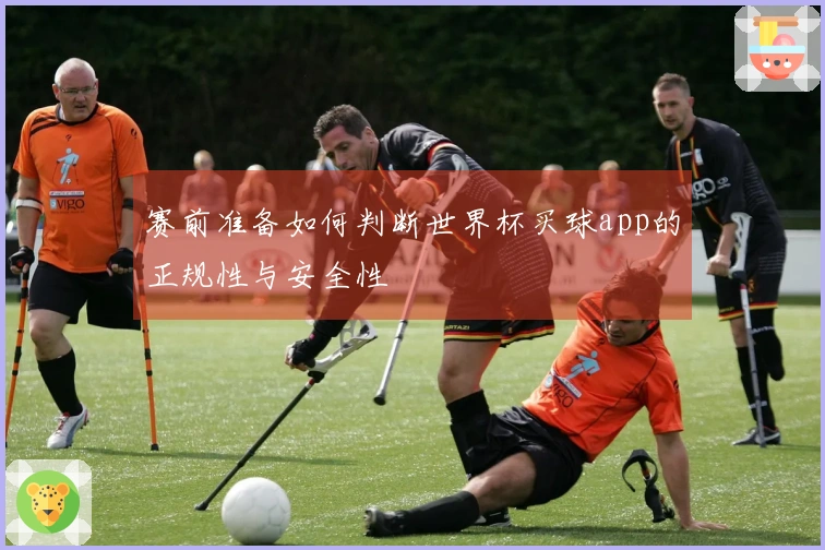 赛前准备如何判断世界杯买球app的正规性与安全性