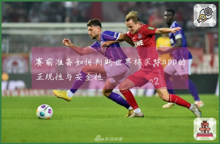 赛前准备如何判断世界杯买球app的正规性与安全性