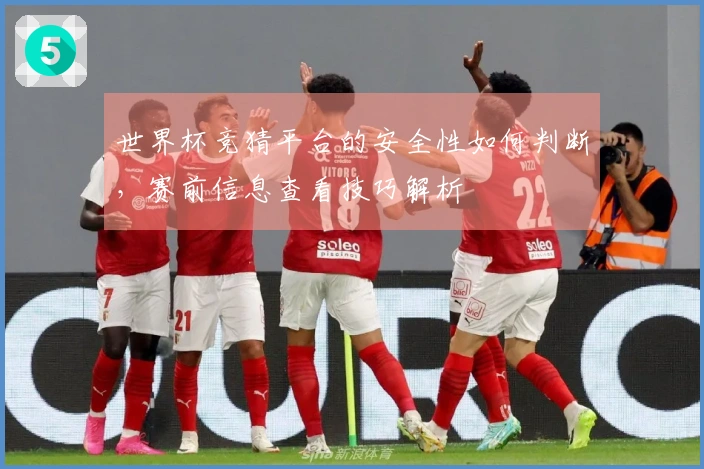 世界杯竞猜平台的安全性如何判断，赛前信息查看技巧解析