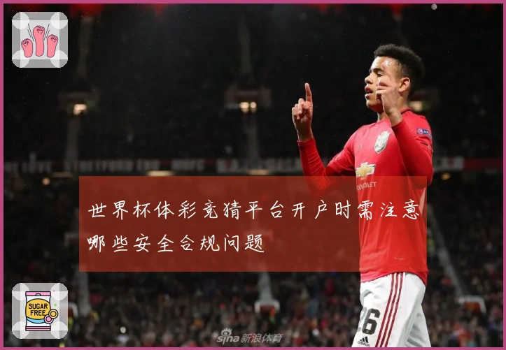 世界杯体彩竞猜平台开户时需注意哪些安全合规问题