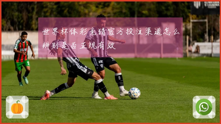 世界杯体彩竞猜官方投注渠道怎么辨别是否正规有效