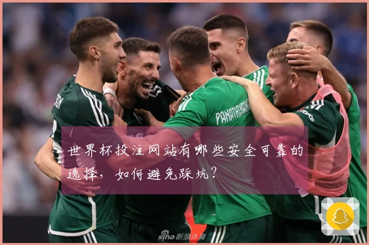 世界杯投注网站有哪些安全可靠的选择，如何避免踩坑？