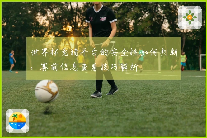 世界杯竞猜平台的安全性如何判断，赛前信息查看技巧解析